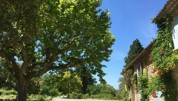 Le Mas de l'Oratoire - Gallery