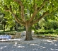 Le Mas de l'Oratoire - Gallery - picture 