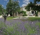 Mas de Grivet - Gallery - picture 