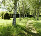 Le Cottage de la Marcotte - Gallery - picture 