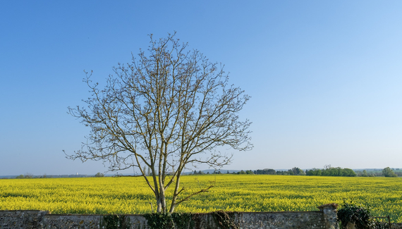 Domaine de Richebourg - La Cour du Moulin - Gallery