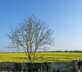 Domaine de Richebourg - La Cour du Moulin - Gallery - picture 