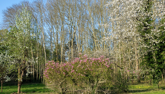 Domaine de Richebourg - La Cour du Moulin - Gallery
