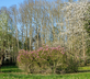 Domaine de Richebourg - La Cour du Moulin - Gallery - picture 