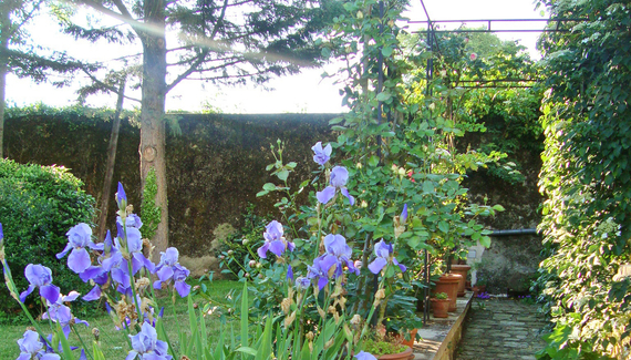 Les Tournelles - Gallery