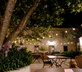 Domaine le Bois des Dames - Gallery - picture 