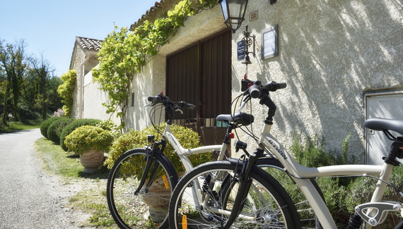 Domaine le Bois des Dames - Gallery