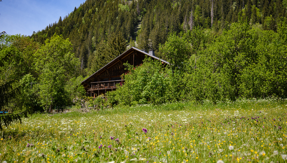 Chalet Cannelle - Gallery