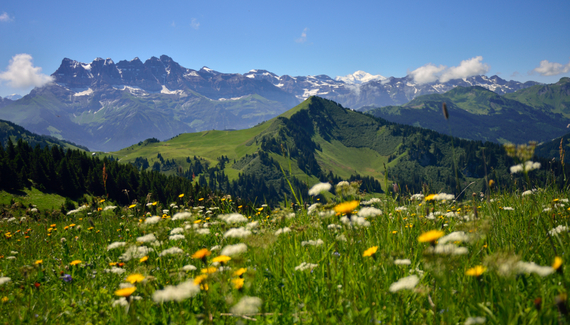 Chalet Cannelle - Gallery