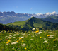 Chalet Cannelle - Gallery - picture 