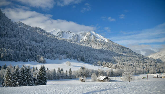 Chalet Cannelle - Gallery