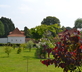 La Cour de Rémi - Gallery - picture 