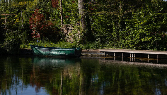Moulin Moulin - Gallery