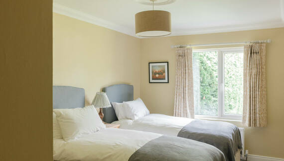 The Roost - Gallery