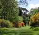Mount Usher Gardens - Gallery - picture 