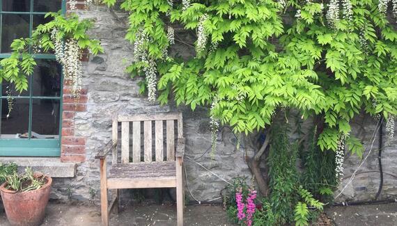 Stable Yard Studio Apartment - Gallery