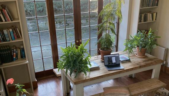 Stable Yard Studio Apartment - Gallery