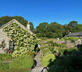 Stable Yard Studio Apartment - Gallery - picture 