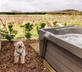 Barnahown - Gallery - picture 