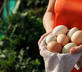 Barnahown - Gallery - picture 