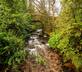 Barnahown - Gallery - picture 
