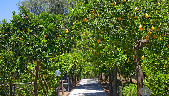 Villa Oriana Relais - Gallery