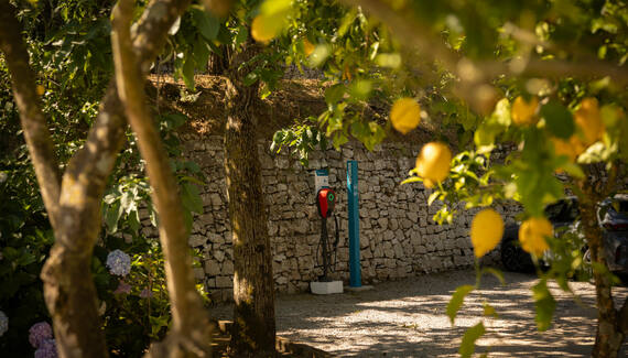 Villa Oriana Relais - Gallery