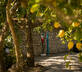 Villa Oriana Relais - Gallery - picture 