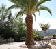 Borgo Riccio Dimora Storica - Gallery - picture 