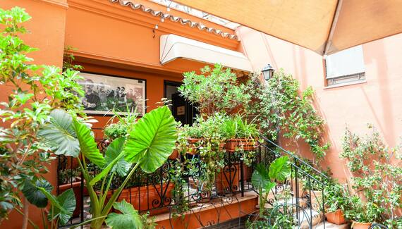 Hotel Modigliani - gallery