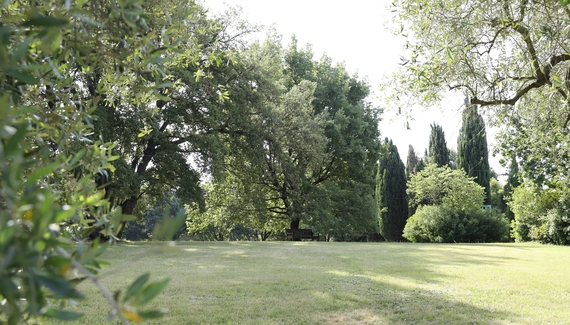 Madonnella Agricola - Gallery