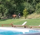 Castello di Santa Cristina - Gallery - picture 