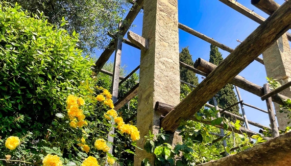 Hotel Gardenia al Lago - Gallery