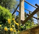 Hotel Gardenia al Lago - Gallery - picture 