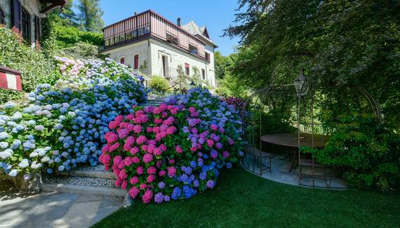 Villino Rubini - Gallery