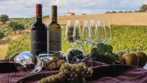 Filodivino Wine Resort & Spa - Gallery