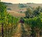 Filodivino Wine Resort & Spa - Gallery - picture 