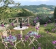 Villa in the Vineyard - Gallery - picture 