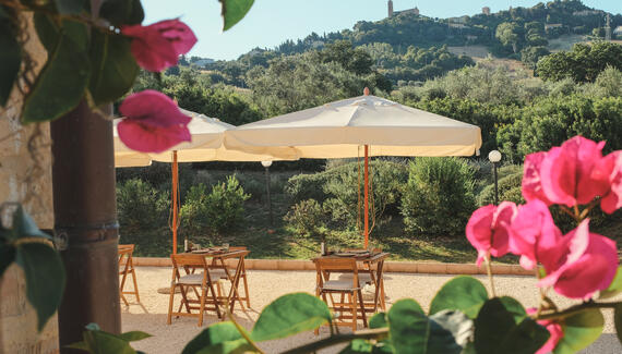 Agriturismo Scala - Gallery