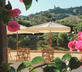 Agriturismo Scala - Gallery - picture 