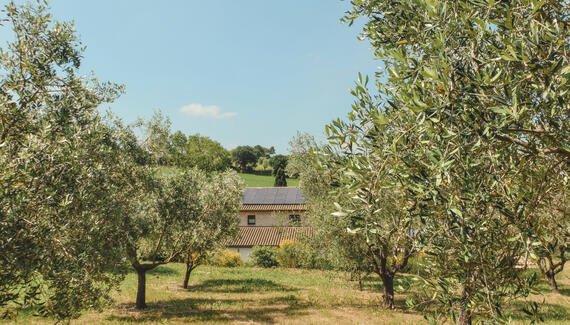 Agriturismo Scala - Gallery