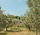 Agriturismo Scala - Gallery - picture 