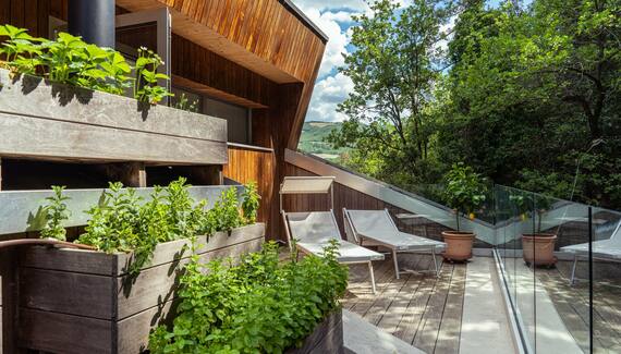 La Forestale Ecolodge - Gallery