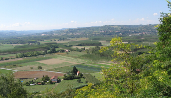 Casa degli Orsi - Gallery