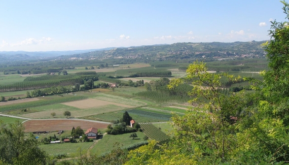 Casa degli Orsi - Gallery