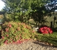 Casa Isabella - gallery - picture 
