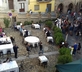 Locanda Martelletti - Gallery - picture 