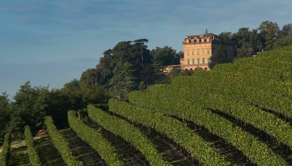 Marchesi Alfieri - Estate & Winery - Gallery