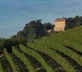 Marchesi Alfieri - Estate & Winery - Gallery - picture 