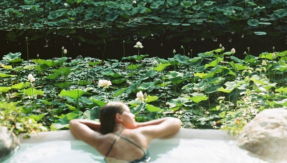 La Foleia - Gallery